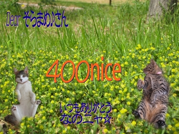 400nice用のコピー.jpg